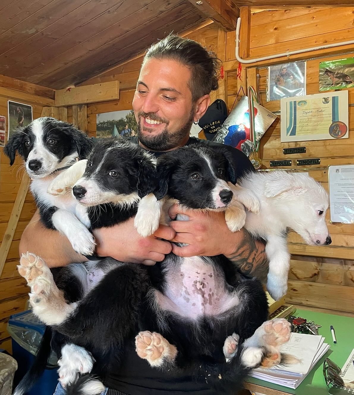 Centro cinofilo D'Abruzzo